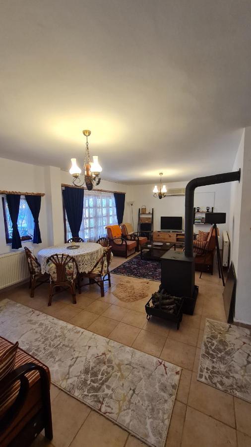 Villa Antik House İznik Extérieur photo